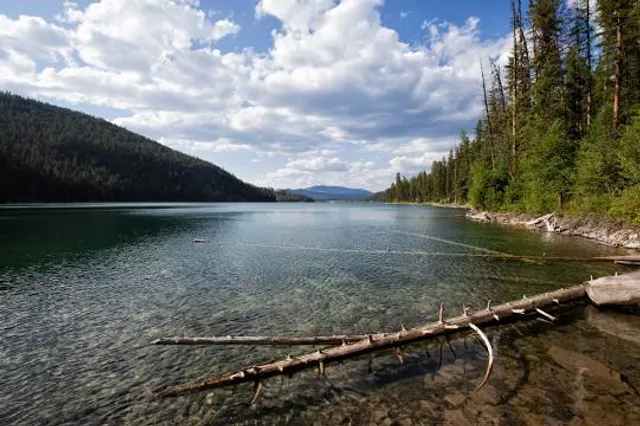 Premier Lake Provincial Park