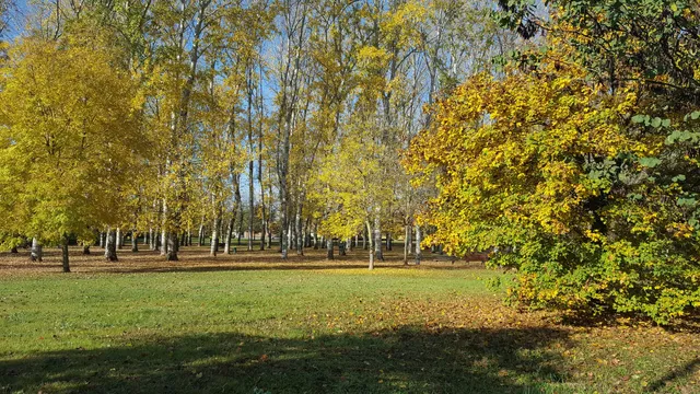 dell'Albereta Park - Pioppeta Galluzzo