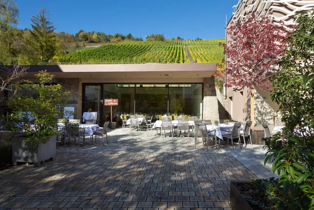 REBgut - Die Weinherberge > TK Gasthaus Catering GmbH & Co. KG