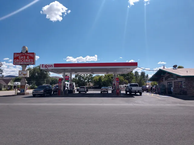 Fast Gas - Holly's Pantry