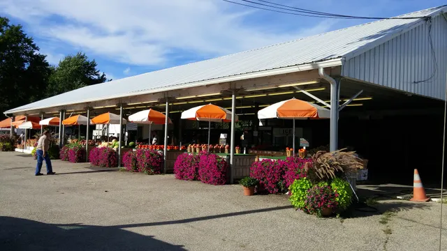 Pastore Orchards Inc