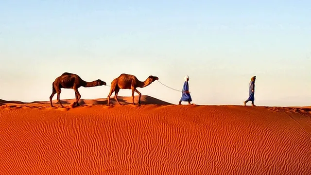 Morocco Desert Travels