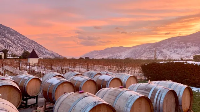 Eauvivre Winery & Vineyards Ltd.