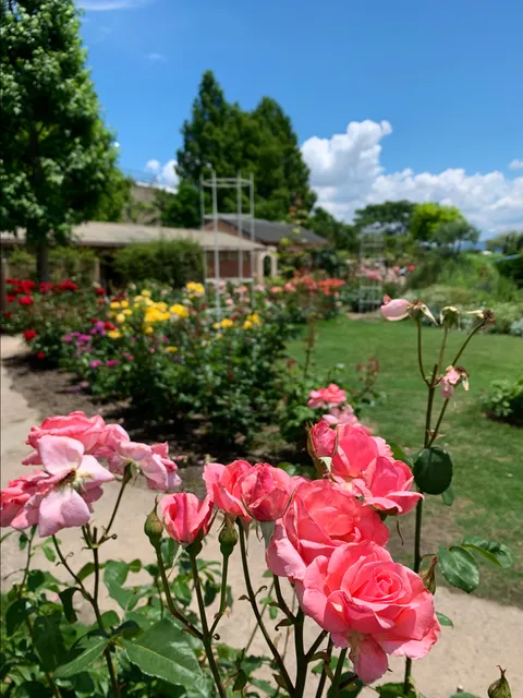 Biwako Ōtsukan English Garden