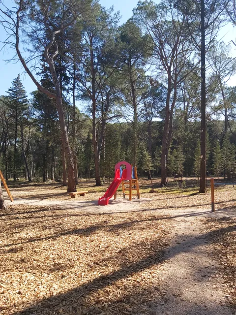 Musapstan Forest Park