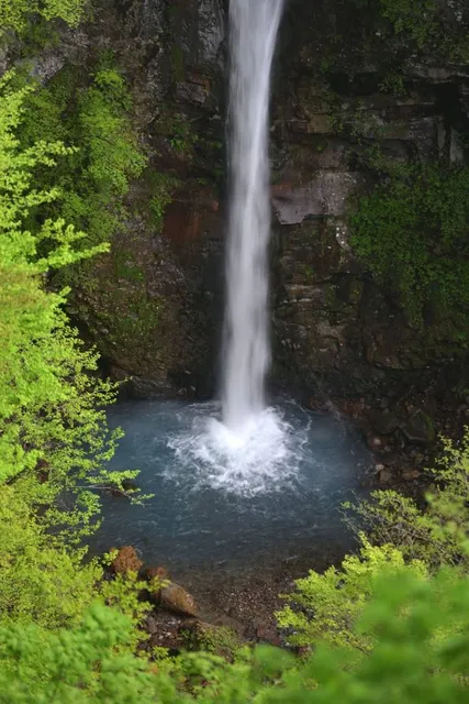 Nasu Heisei-no-mori Forest