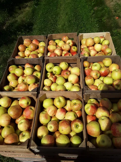 Twin Springs Fruit Farm