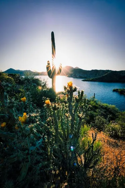 Butcher Jones Recreation Site