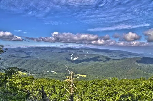 Saint Mary's Wilderness