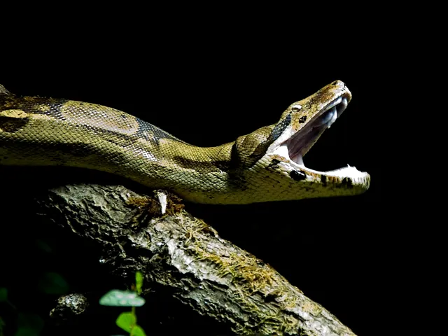 Reptilium terrarium and desert zoo GmbH