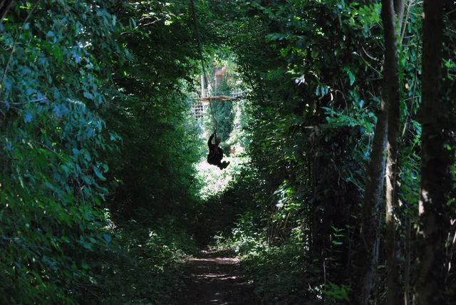 Parcours Aventure de Sciez