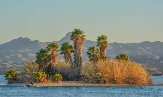 Havasu National Wildlife Refuge