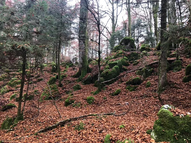 Sentiero degli Slipari