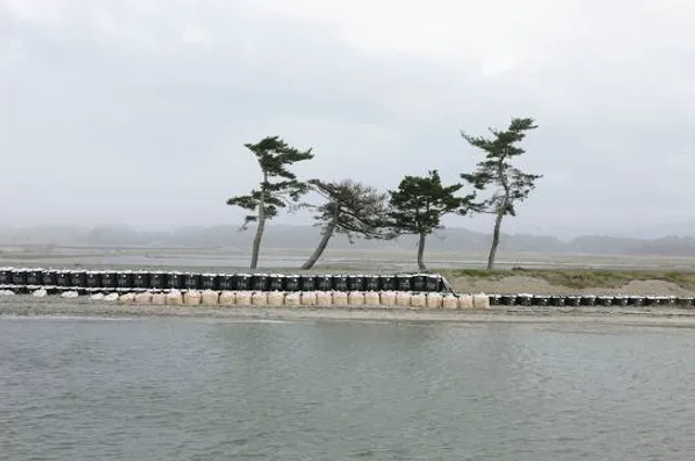 Gangjin Bay Ecological Park