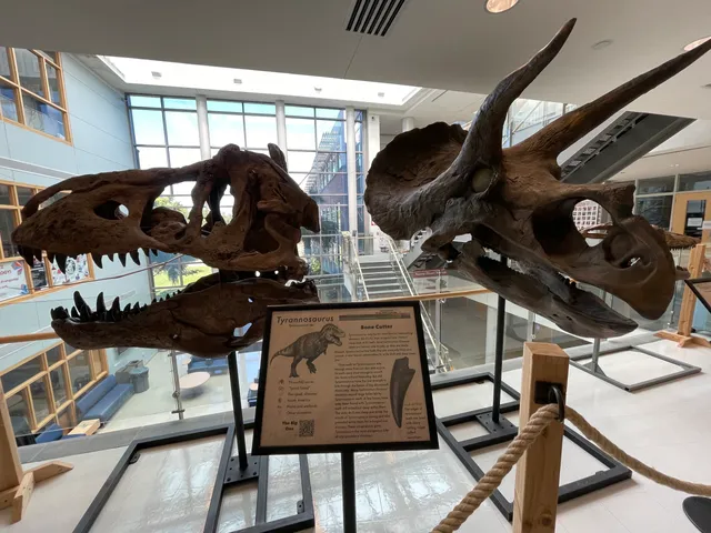 Mace Brown Museum of Natural History - College of Charleston