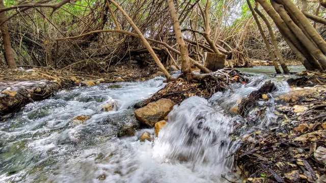 השביל הרטוב