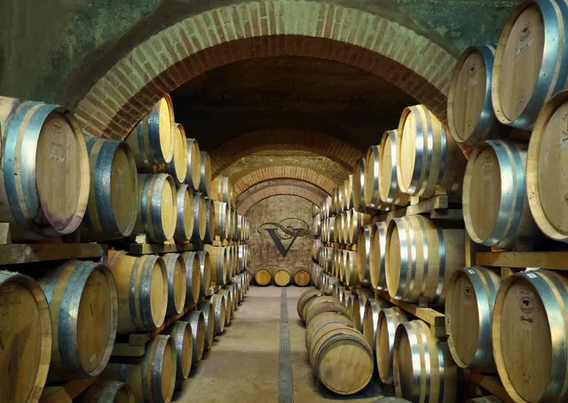 Viñedos Y Bodegas Pablo