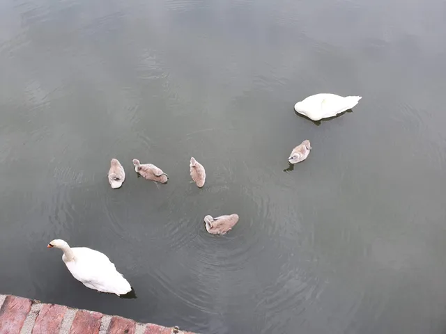 Princess Amalia Park