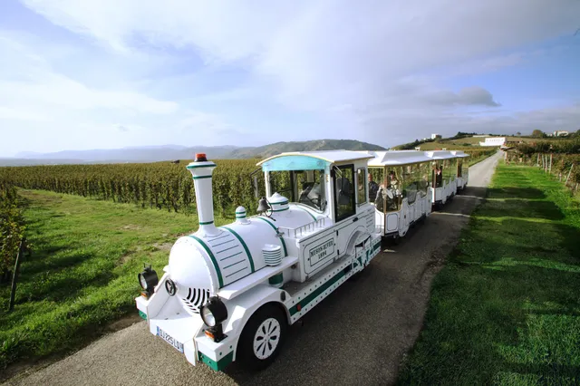 Le petit train des vignes de l'Hermitage