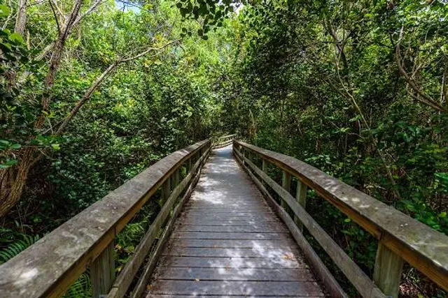 Gumbo Limbo Nature Center