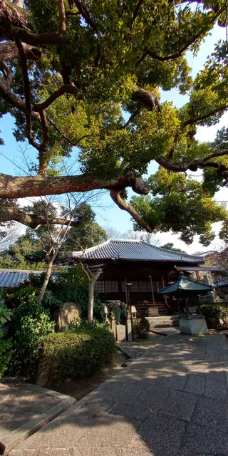 photo-1