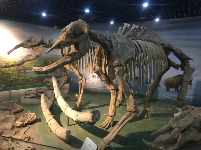 Henan Geological Museum