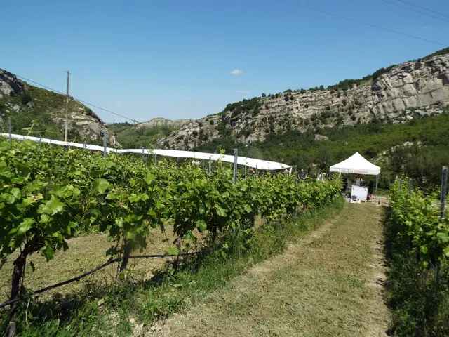 Cantina Tramosasso Vini del Parco della Vena del Gesso Valle del Santerno