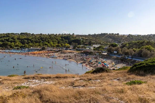 Cala Molinella Beach Club