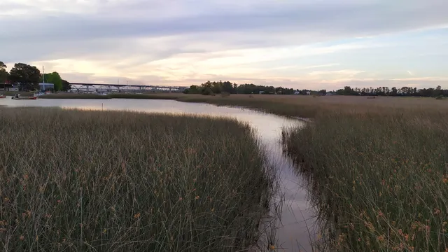 Humedales del Santa Lucía