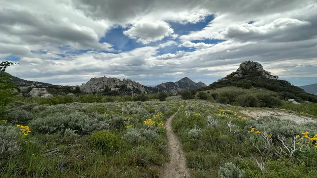 Wasatch Mountain Club