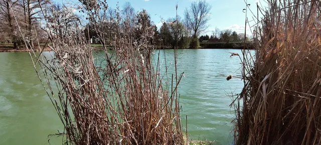 Telekparti Szabadidő -park