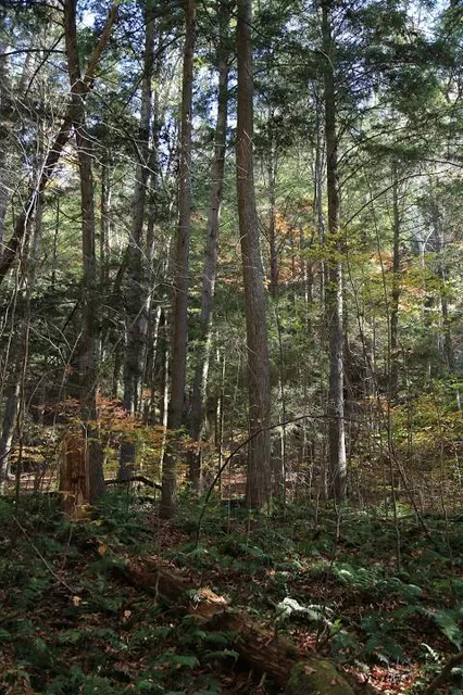 Kincaid Lake State Park