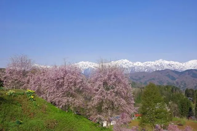 オガワアルプスラインアルプステンボウデッキ