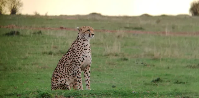 Olare Motorogi Conservancy