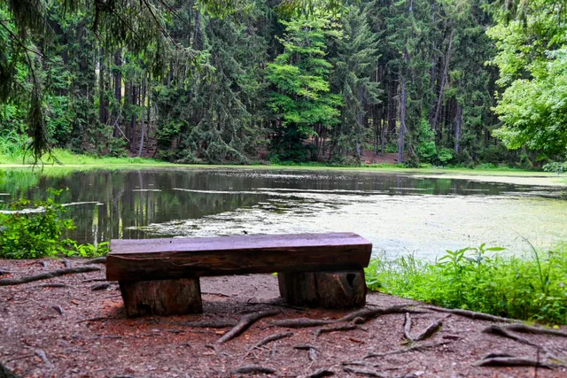 I.S. and Gertrude Sahli Nature Park