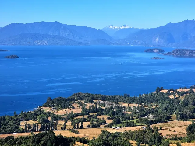 Mirador la caza del jabalí