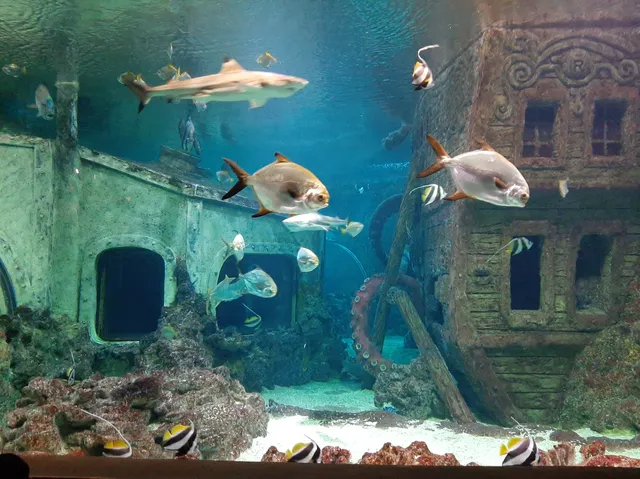 Voronezhskiy Okeanarium