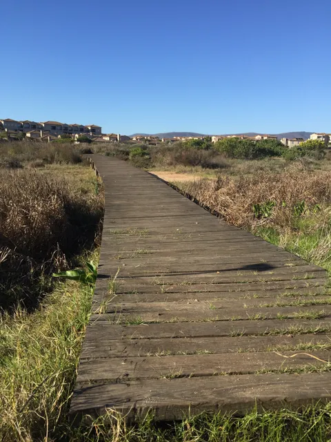 Table Bay Nature Reserve - Milnerton Racecourse section