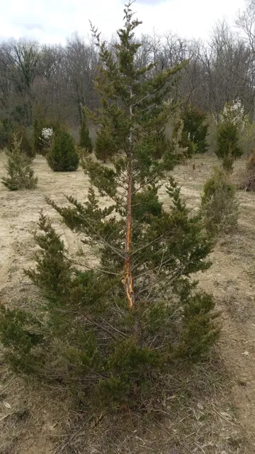 photo-3