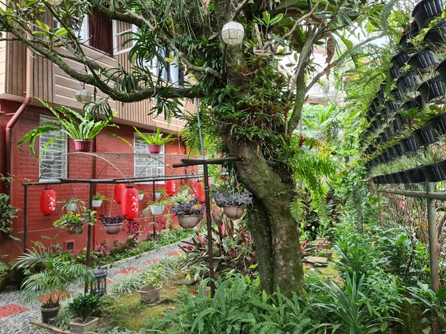 Lapid's Transient House