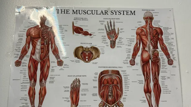 Cielo Medicina ancestral (SOBADORES)