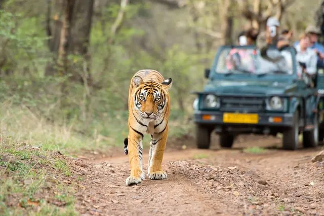 Jim Corbett National Park Ramnagar Tour Safari Packages