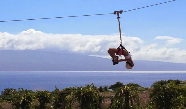 Paradise Eco Adventures