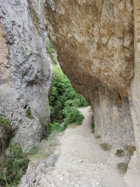 Purón River Gorge