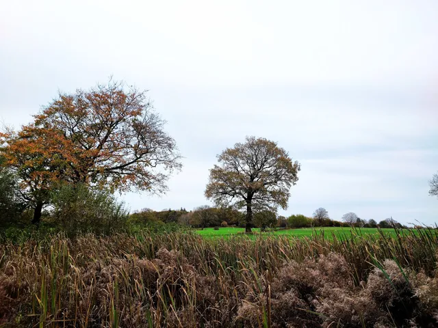 Twedter Feld Nature Reserve