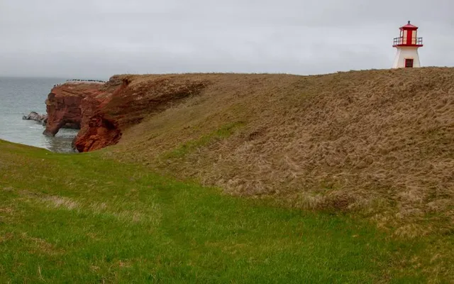 Lighthouse Cape Alright