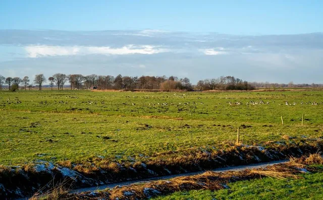 Nationaal beek- en esdorpenlandschap Drentsche Aa