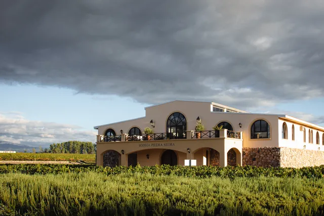 Winery Black Stone (Lurton)