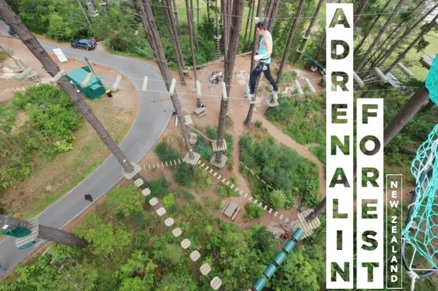 Adrenalin Forest Christchurch