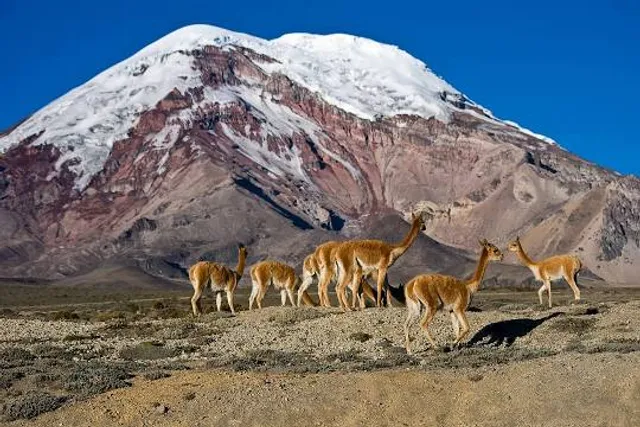 Chimborazo